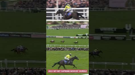 sky bet supreme novices hurdle|Marine Nationale wins SkyBet Supreme Novices' Hurdle 2023.